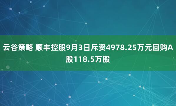 云谷策略 顺丰控股9月3日斥资4978.25万元回购A股118.5万股