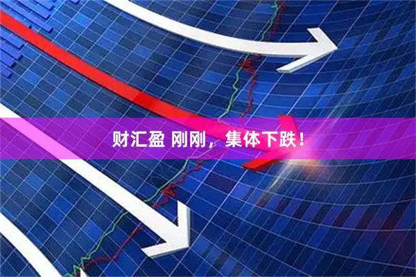财汇盈 刚刚，集体下跌！