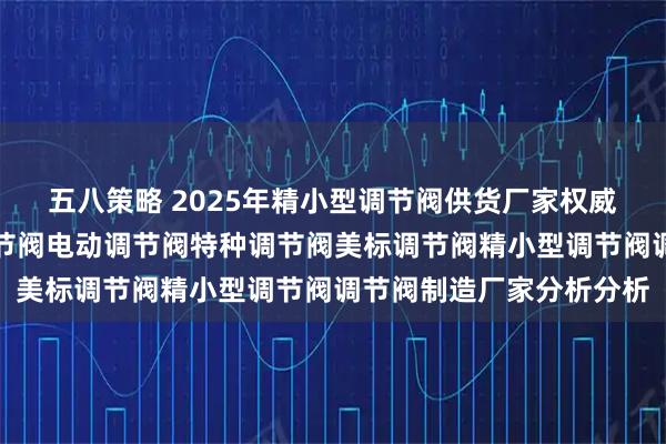 五八策略 2025年精小型调节阀供货厂家权威评测与分析，自力式调节阀电动调节阀特种调节阀美标调节阀精小型调节阀调节阀制造厂家分析分析