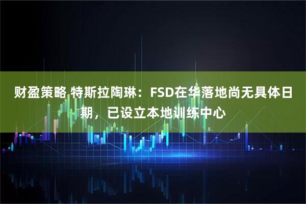 财盈策略 特斯拉陶琳：FSD在华落地尚无具体日期，已设立本地训练中心