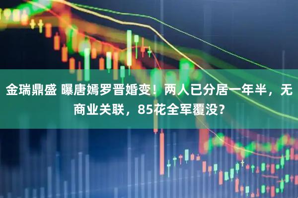 金瑞鼎盛 曝唐嫣罗晋婚变!两人已分居一年半,无商业关联,85花全军覆没?