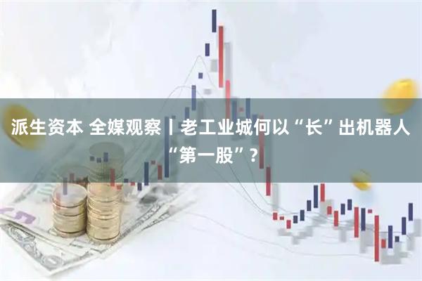 派生资本 全媒观察丨老工业城何以“长”出机器人“第一股”?